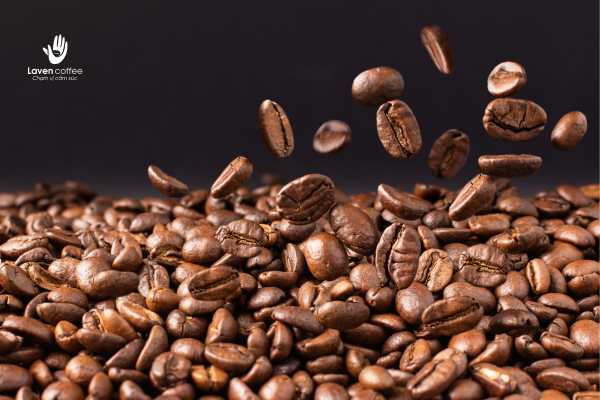 Cà phê robusta là gì ?